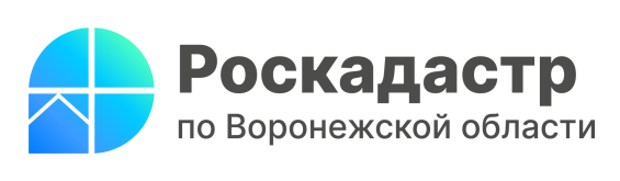 Инструкция по получению сведений из ГФДЗ через портал Госуслуг.