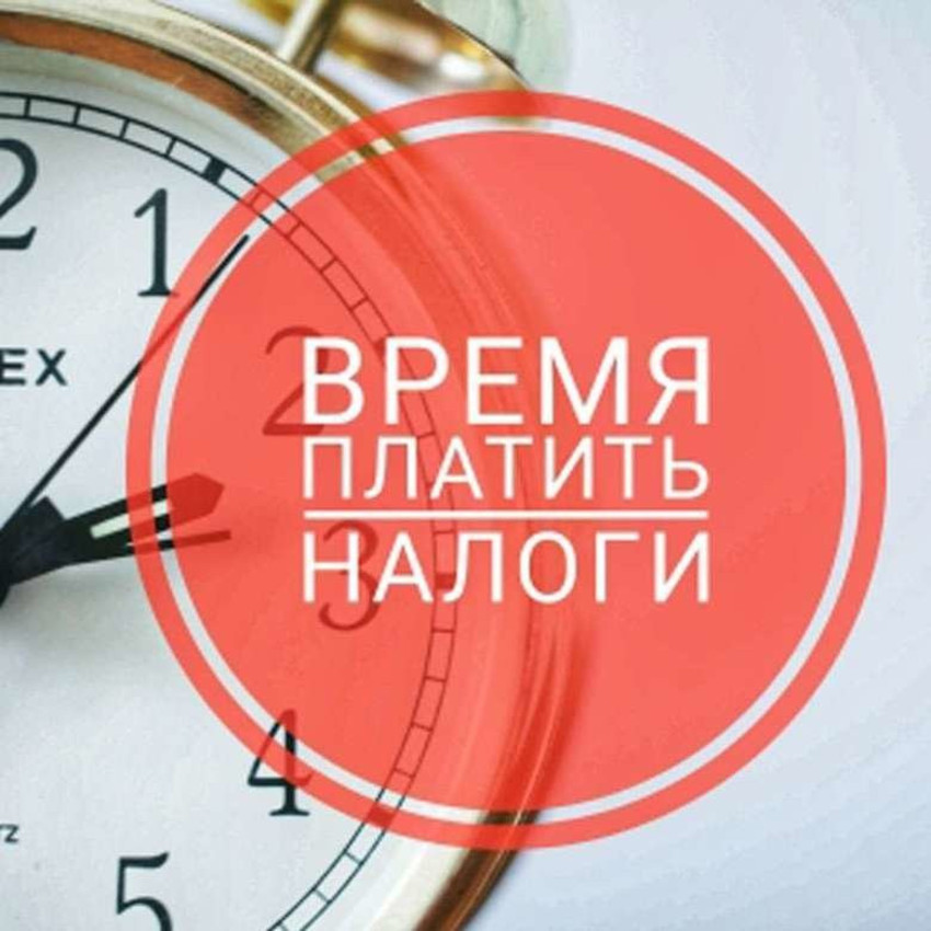 Имущественные налоги необходимо оплатить не позднее 2 декабря 2024 года.