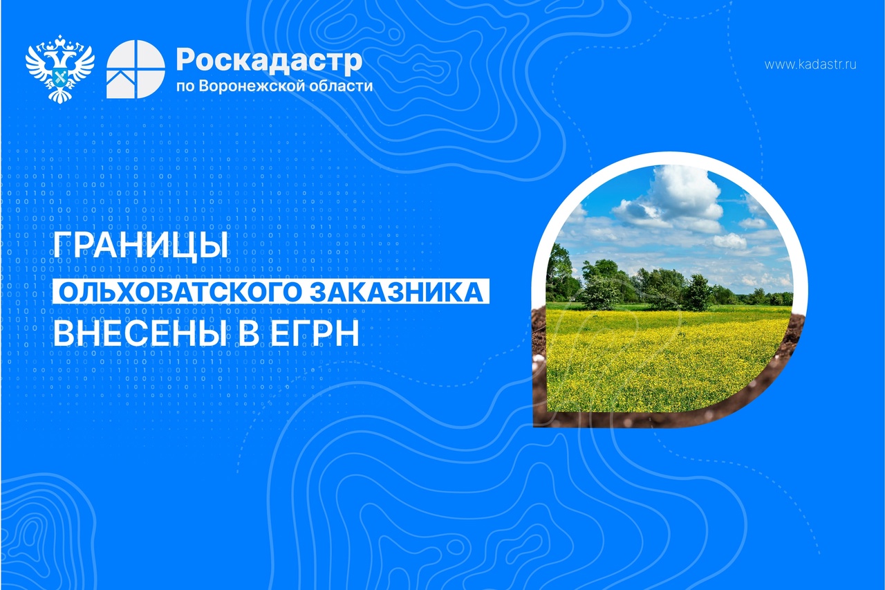 Границы Ольховатского заказника внесли в ЕГРН.