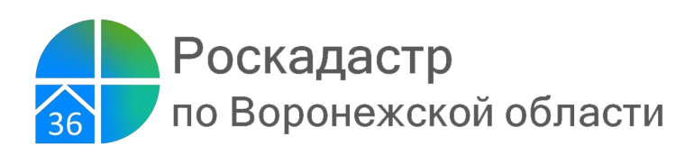 Роскадастр информирует. Роскадастр информирует.